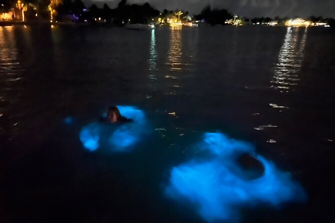 Private: Bioluminescence Tour - Key things to know before booking