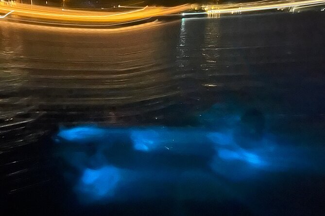 Private: Bioluminescence Tour - The moon and tide can decide the quality of the glow