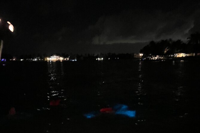 Private: Bioluminescence Tour - What the guides add to the evening
