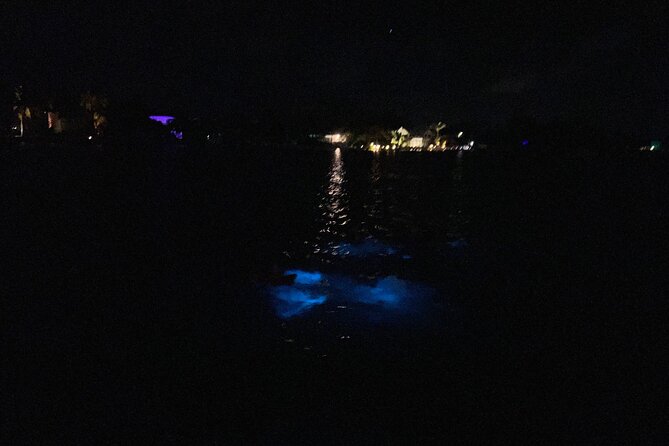 Private: Bioluminescence Tour - Drinks, music, and what to pack