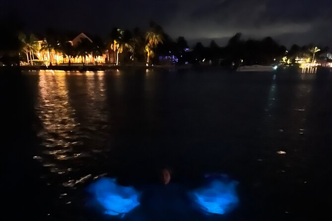 Private: Bioluminescence Tour - Who will enjoy this most?