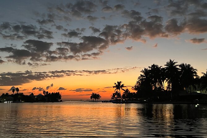 Private: Bioluminescence Tour - Reaching the Bioluminescent Bay