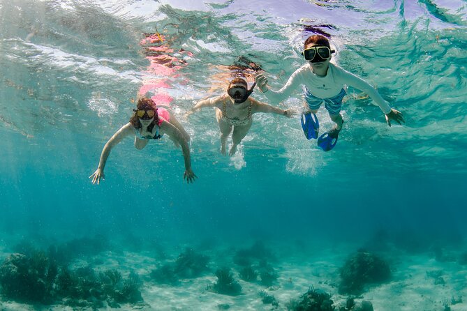 Private boat charter in Grand Cayman - Stingray City, the main event for many groups