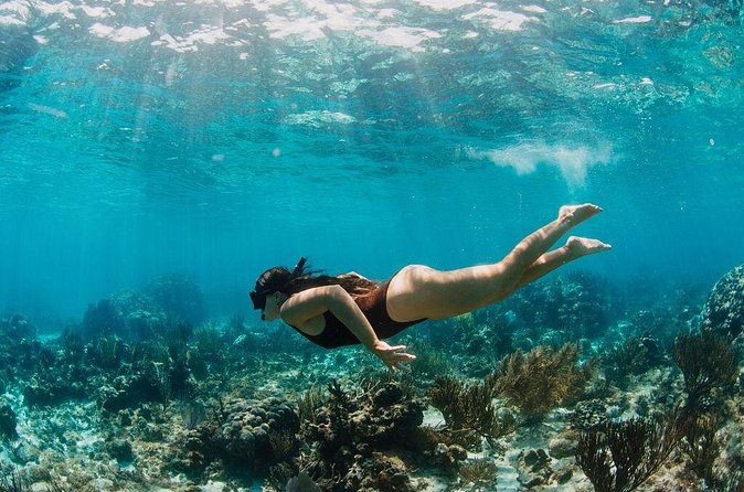 Private Boat Charter Snorkeling Stingray City or Bio Bay - Starfish Point for a slower break