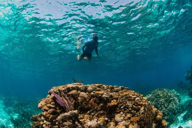 Private Boat Charter Snorkeling Stingray City or Bio Bay - Rum Point and the one-hour pause