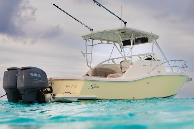 Private Boat Tours: Customize Your Grand Cayman Adventure! - Stingray City: the main event for many families