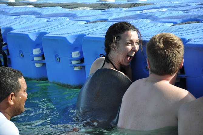 Private Caribbean Snorkeling Cruise At Punta Cana & Sharks, Stingray Encounter - A four-hour cruise built around several short stops