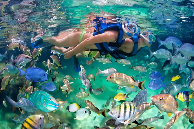 Private Catamaran Snorkeling Family Adventure - Who Gets the Best Value at $900