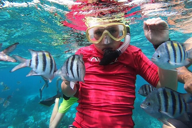 Private Charter 28ft Grady White. Stingrays, Snorkeling, Starfish - Why the six-hour charter may be worth the extra time