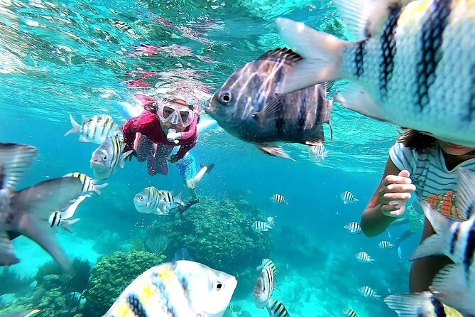 Private Charter 28ft Grady White. Stingrays, Snorkeling, Starfish - Meeting the southern stingrays at Stingray City