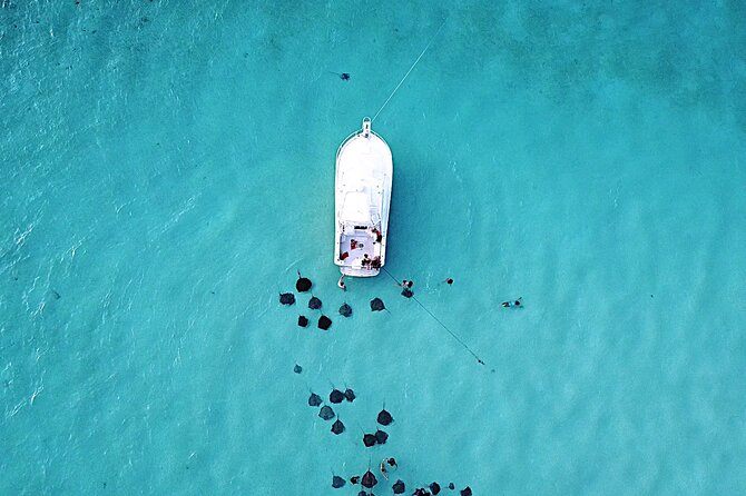 Private Charter 34ft Express Cruiser Stingay City Reef Snorkeling - Key points for your Cayman boat day