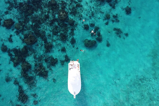 Private Charter 34ft Express Cruiser Stingay City Reef Snorkeling - Lunch at Rum Point or a waterside restaurant