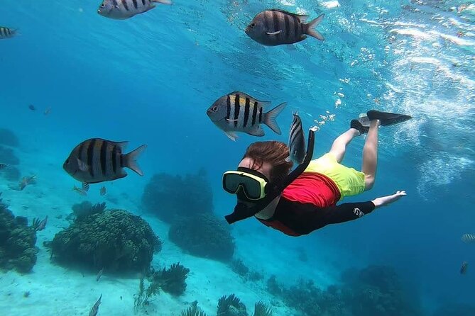 Private Charter 34ft Express Cruiser Stingay City Reef Snorkeling - What the $1,000 price really means
