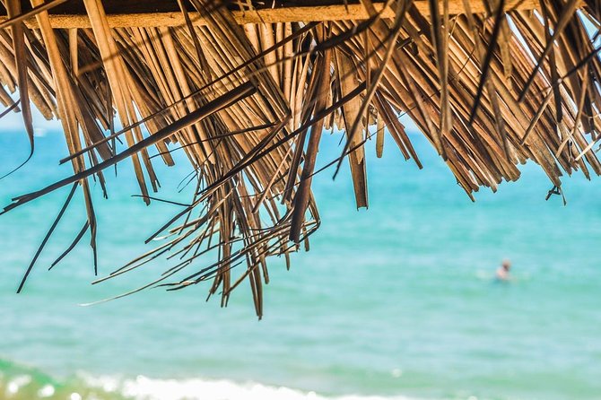 Private Custom Tour of Martinique - Key points at a glance