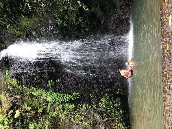 Private Custom Tour of Martinique - Rum, plantations, gardens, and local food