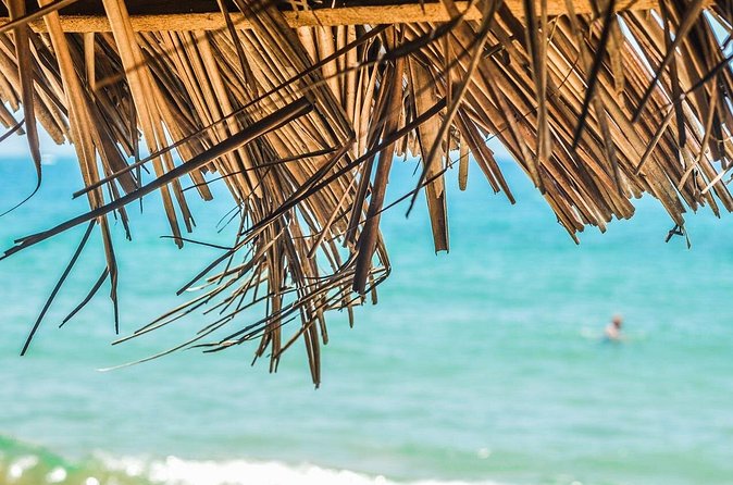Private Custom Tour of Martinique - Cruise passengers and airport transfers