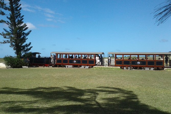 Private Customized Island Tour of Barbados - The minivan, walking, food, and comfort