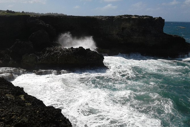 Private Customized Island Tour of Barbados - West Coast stops from Bridgetown to Speightstown