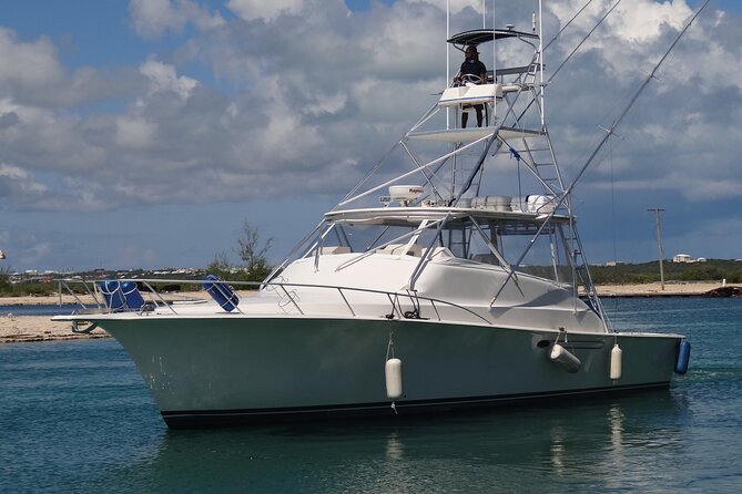 Private Deep Sea Fishing 1/2 Day morning on"Angler Management" - Key points to know before booking