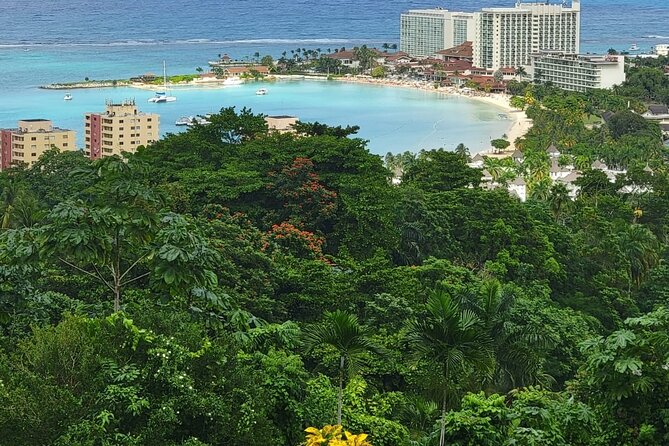 Private Dunn's River Falls, Ocho Rios Sightseeing and shopping - Booking, weather, and cancellation details