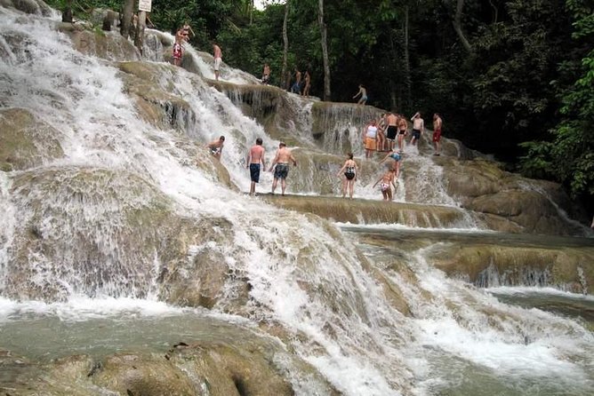 [PRIVATE] Dunn's River Falls with Entrance Fees - The waterfall climb is the reason to go