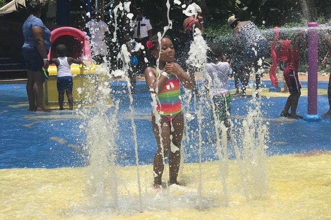 [PRIVATE] Dunn's River Falls with Entrance Fees - How the $158.11 price works as value