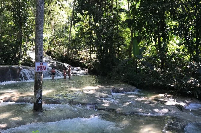 [PRIVATE] Dunn's River Falls with Entrance Fees - Who will enjoy this outing most
