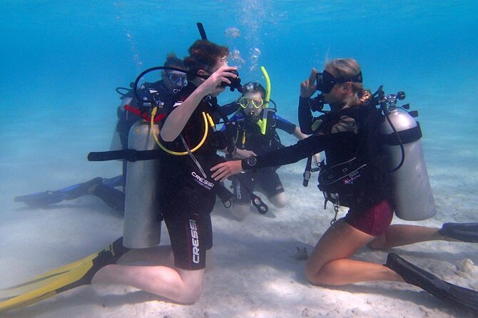 Private First-Time Dive on Aruba’s Reef and Wreck Site - Key points to know before booking