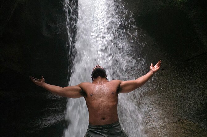 Private Fresh Water Lake, Waterfalls And Hot Springs Excursion - Trafalgar Falls and the easiest viewpoint