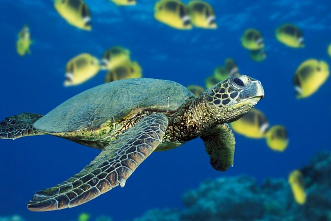 Private Full-Day Catamaran Sailing Charter in St Maarten - Sailing around both sides of the island