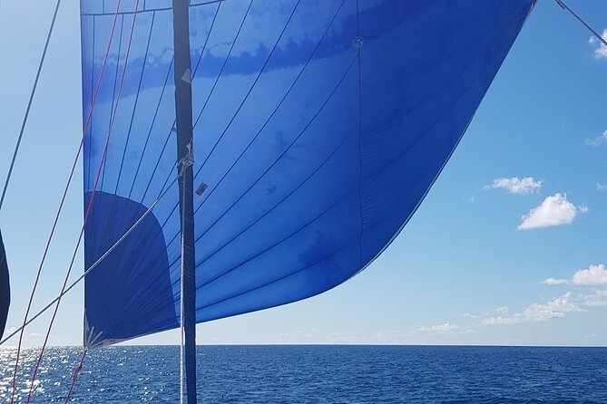 Private Full-Day Catamaran Sailing Charter in St Maarten - Tintamarre Island and the turtle swim
