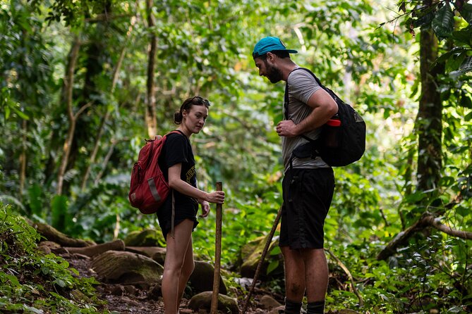 Private Full-day Tour in Grenada with Pickup - The pace is broad rather than slow