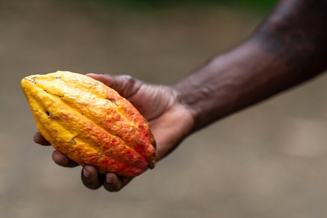 Private Full-day Tour in Grenada with Pickup - Who should book this Grenada tour?