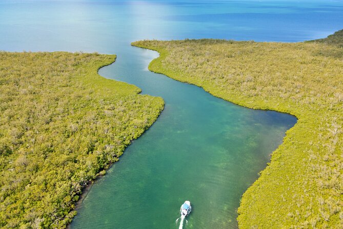 Private, Guided Boat Charters in The Cayman Islands - Why a private charter changes the Cayman day