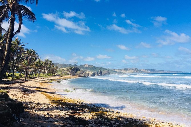 Private Half-Day Barbados Excursion - Key points to know before booking
