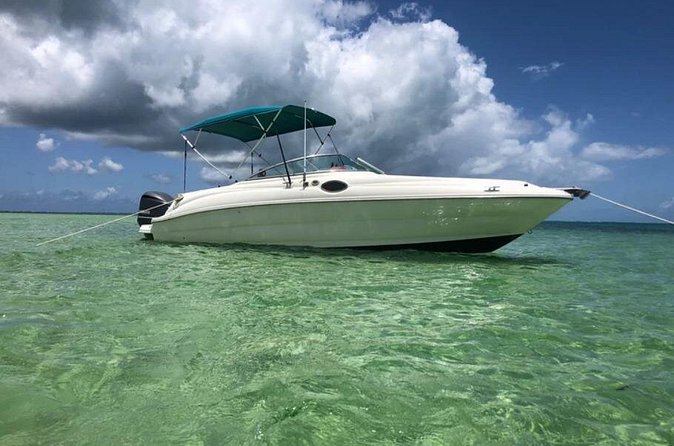 Private Half-Day Charter to Stingray City, Starfish Point and Snorkeling Tour - Starfish Point for a slower pause