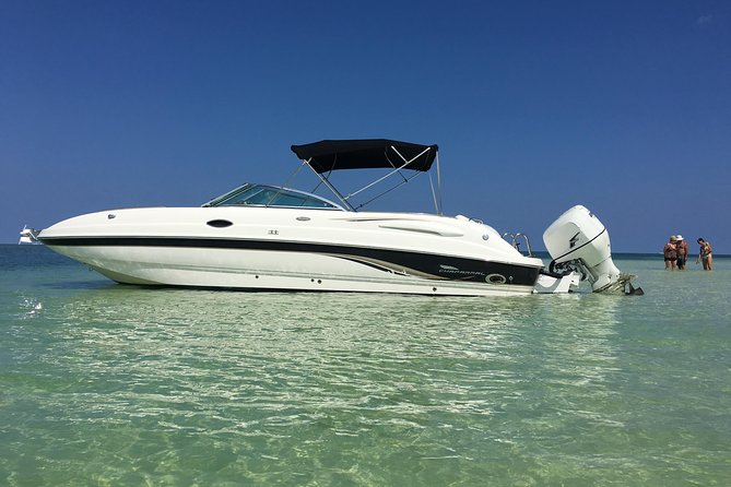 Private Half Day Stingray City, Snorkeling and Starfish Beach Tour - Key points to know before booking