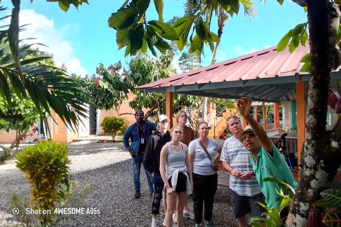Private Half Day Tour in Dominican Republic with Local Guide - Leaving Punta Cana for Higüey