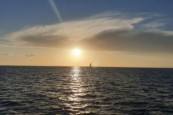 Private Luxury Catamaran - Saona or Catalina island - Crew service, commentary, and local help