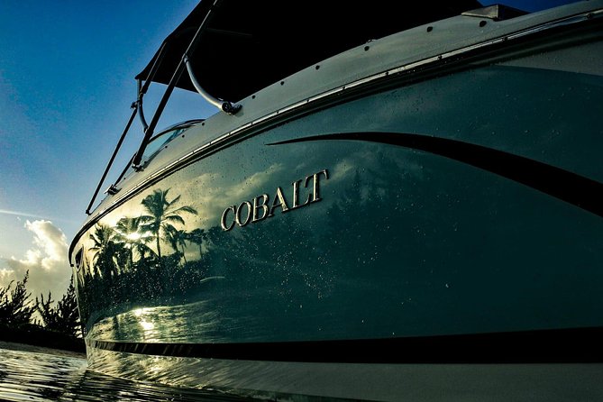 Private, luxury, custom charters to Stingray City, Snorkeling & More - Bio Bay after sunset