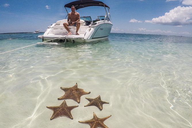 Private, luxury, custom charters to Stingray City, Snorkeling & More - Stingray City: the main event