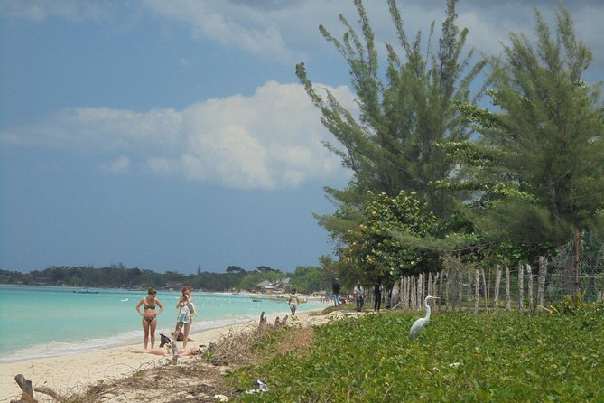 Private Montego Bay Airport Transfer to Negril - What the private format is worth