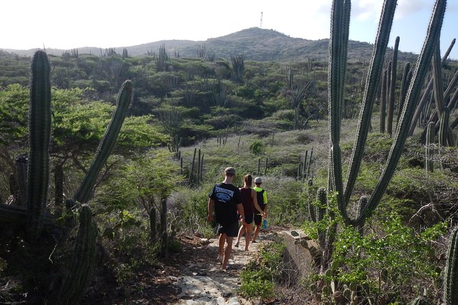 Private nature tour: Aruba's highest point & pristine coral reef - The climb to Mount Jamanota
