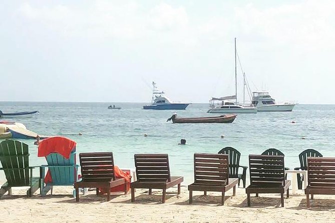 [PRIVATE] Negril Sightseeing Tour with RickS Cafe Cliff Diving - Seven Mile Beach gives you the classic Negril start