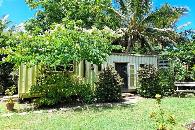 Private Pottery Experience at British Virgin Islands - Hand building for a calmer clay session