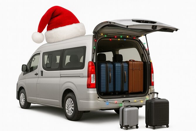 Private Punta Cana Airport Transfers Hotels in Dominican Republic - What the Ride Is Like Once You Are Moving