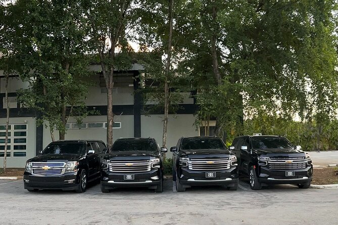 Private Punta Cana Airport Transfers Hotels in Dominican Republic - Cancellation and Basic Booking Rules