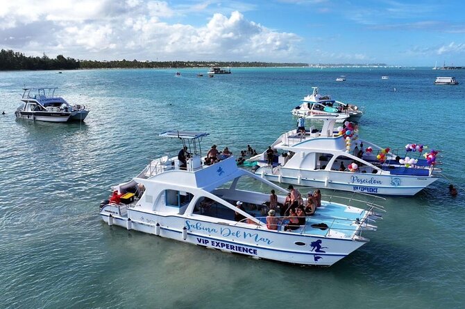 Private Punta Cana Boat Cruise with Snorkeling & Open Bar Party - Dolphins, stingrays, and sharks from the boat