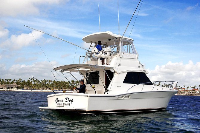 Private Punta Cana Six Hour Fishing Charter - The offshore run and the search for big fish