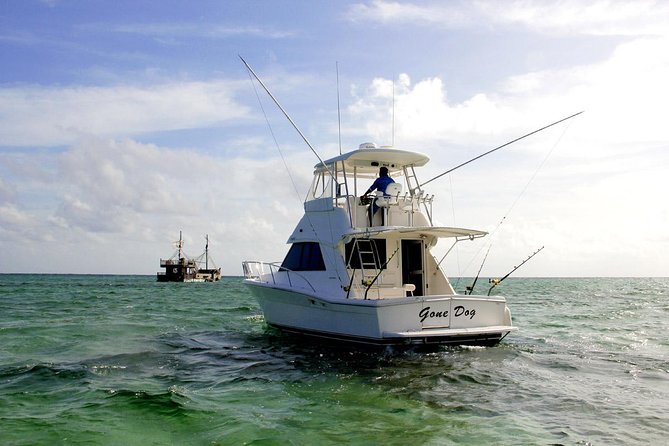 Private Punta Cana Six Hour Fishing Charter - Fishing success is part skill, part luck